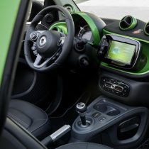Фотография модели Smart Fortwo Electric Drive 2017 - фото 29 Фотография экоавто Smart Fortwo Electric Drive 2017 - фото 29