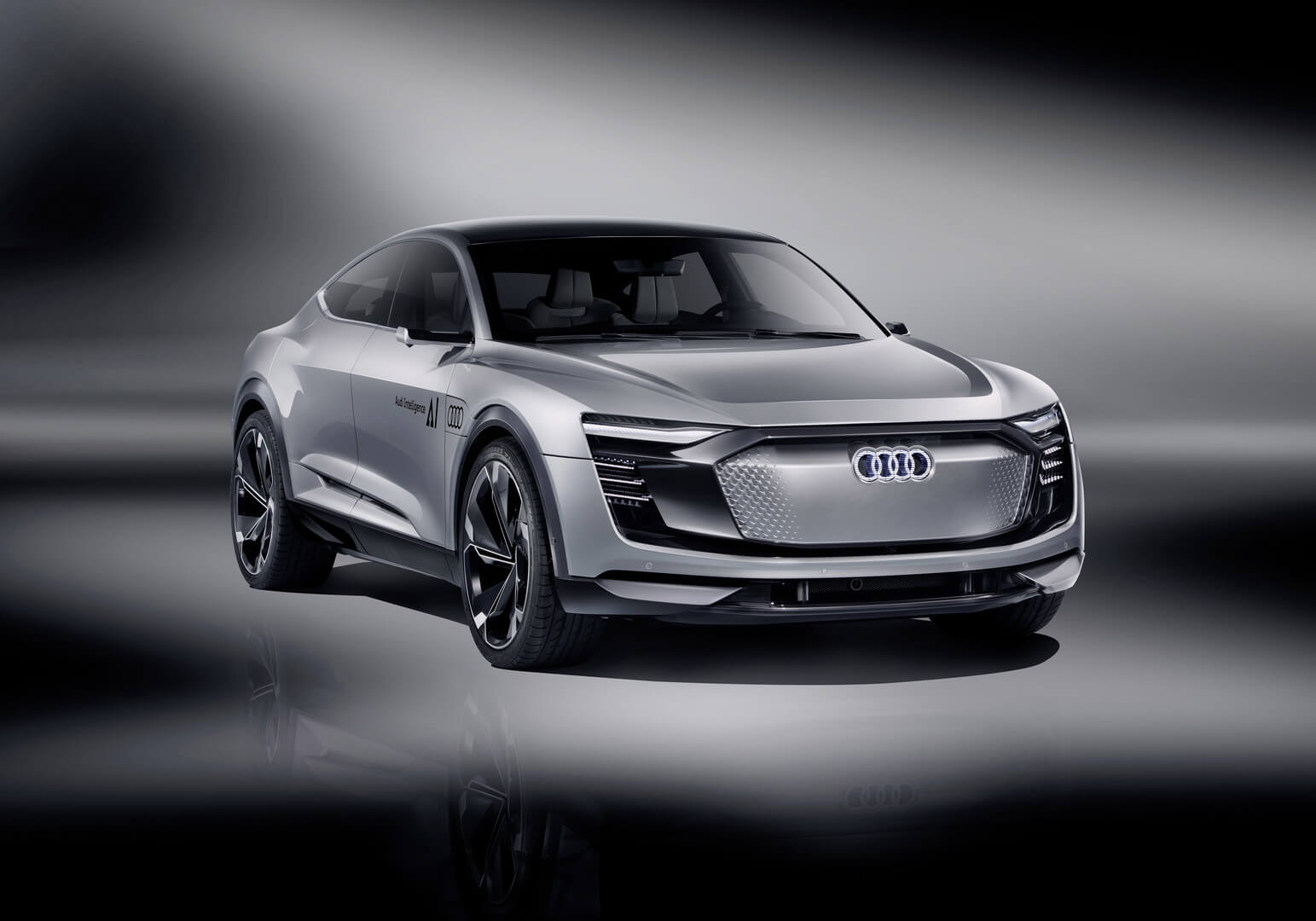 Audi Elaine Audi Elaine