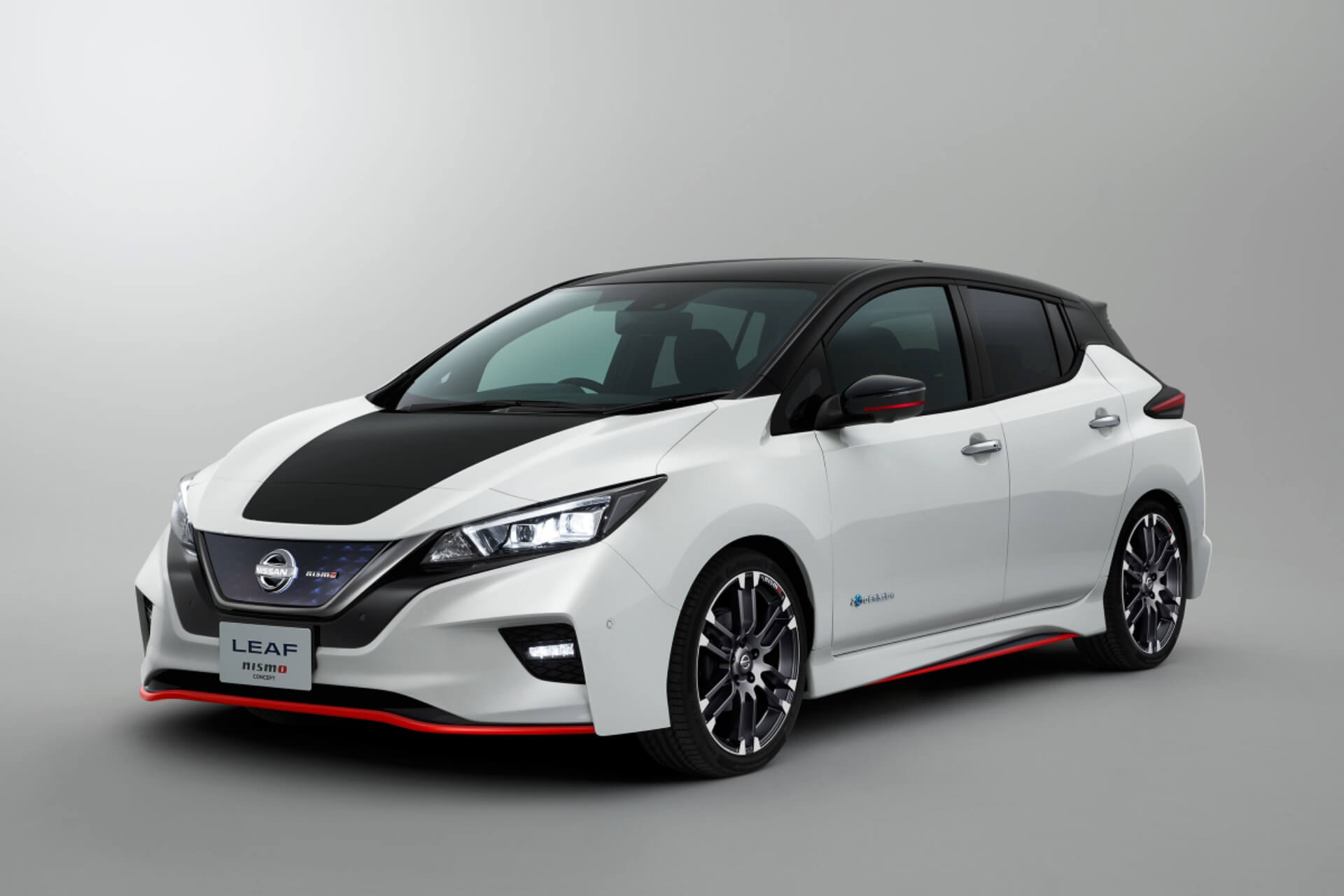 Nissan Leaf Nismo Concept Nissan Leaf Nismo Concept