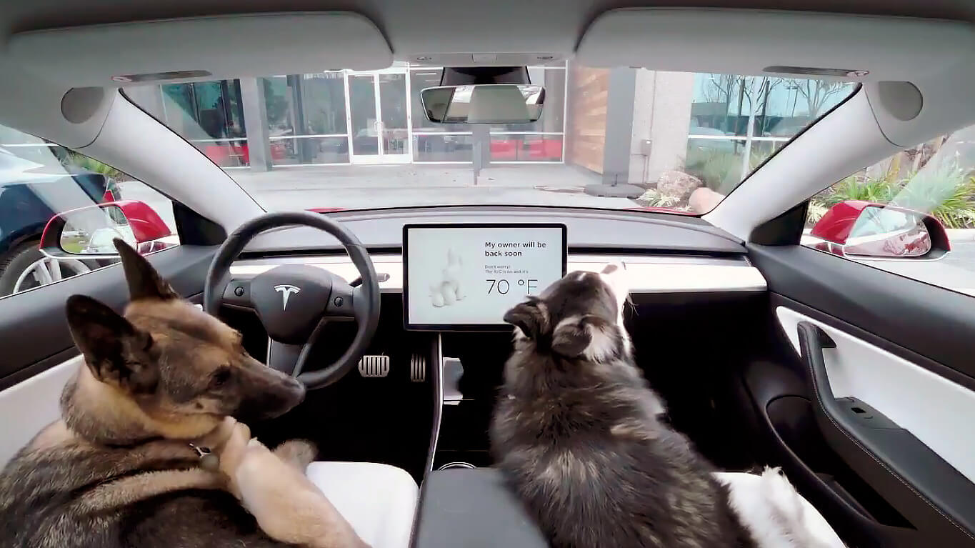 Tesla позаботилась о питомцах клиентов выпустив режим «Dog Mode» Tesla позаботилась о питомцах клиентов выпустив режим «Dog Mode»