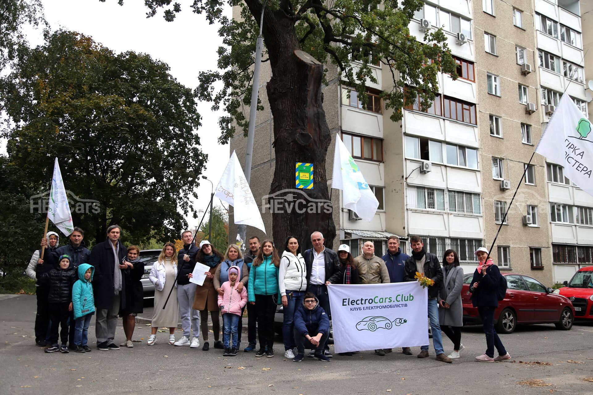 Дуб Кристера Дуб Кристера